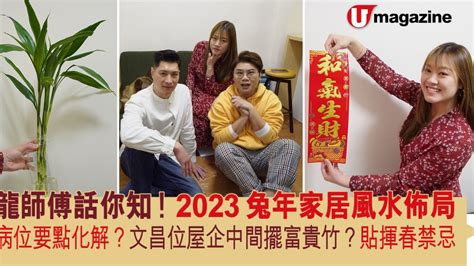 文昌位富貴竹|2023兔年文昌位 │ 一文看清6大文昌擺設、禁忌，包你。